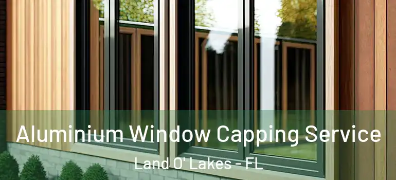 Aluminium Window Capping Service Land O' Lakes - FL