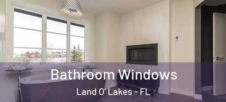 Bathroom Windows Land O' Lakes - FL