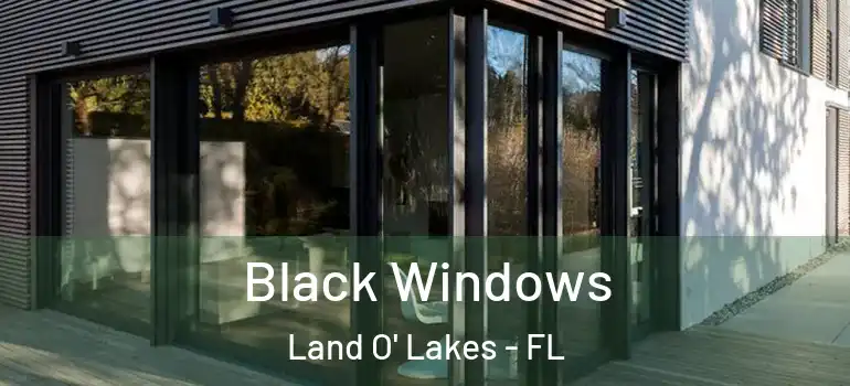Black Windows Land O' Lakes - FL