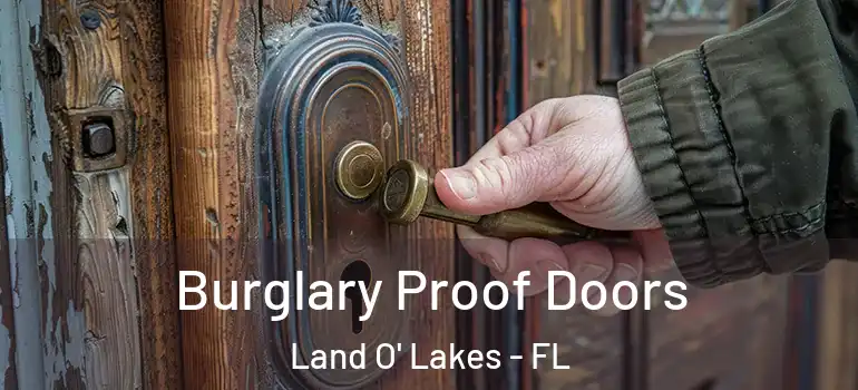 Burglary Proof Doors Land O' Lakes - FL