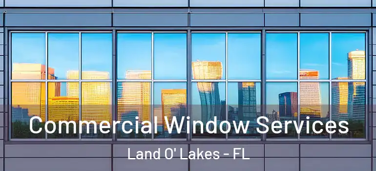 Commercial Window Services Land O' Lakes - FL