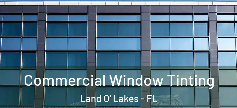 Commercial Window Tinting Land O' Lakes - FL