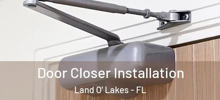 Door Closer Installation Land O' Lakes - FL