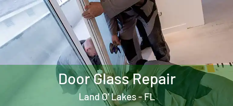 Door Glass Repair Land O' Lakes - FL