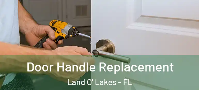 Door Handle Replacement Land O' Lakes - FL