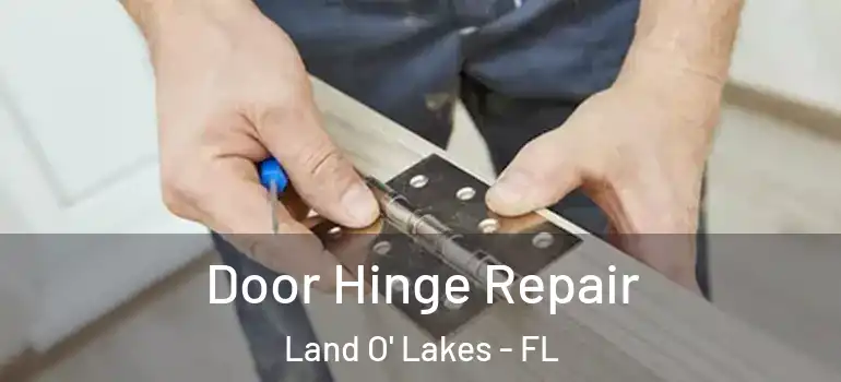 Door Hinge Repair Land O' Lakes - FL