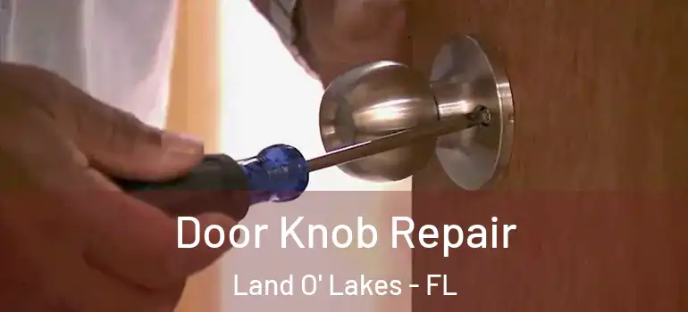 Door Knob Repair Land O' Lakes - FL