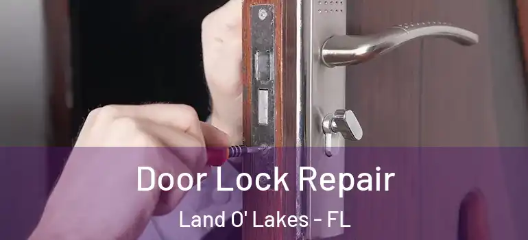 Door Lock Repair Land O' Lakes - FL