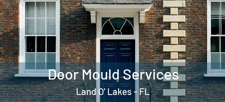 Door Mould Services Land O' Lakes - FL