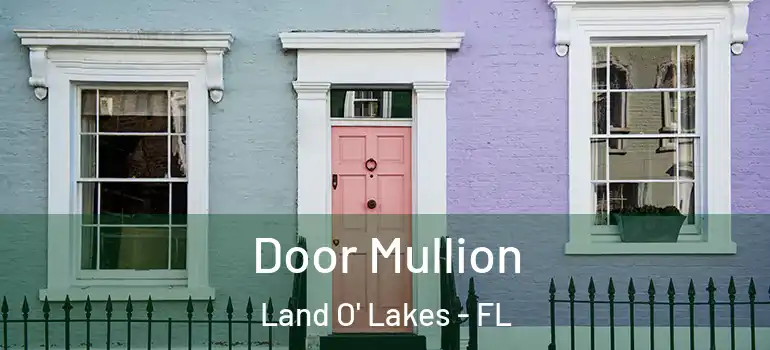 Door Mullion Land O' Lakes - FL