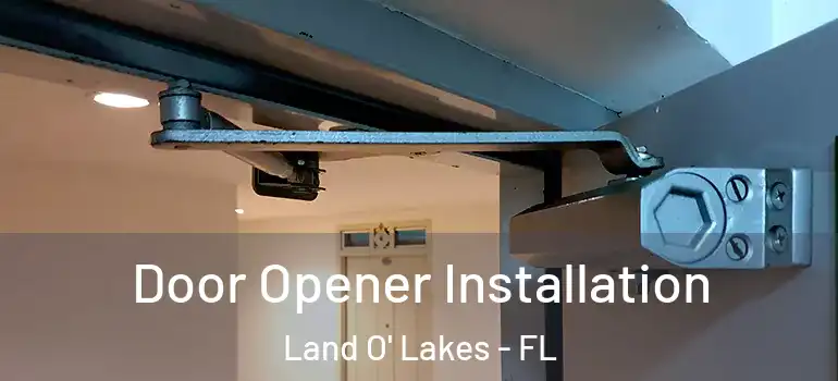  Door Opener Installation Land O' Lakes - FL