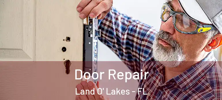 Door Repair Land O' Lakes - FL