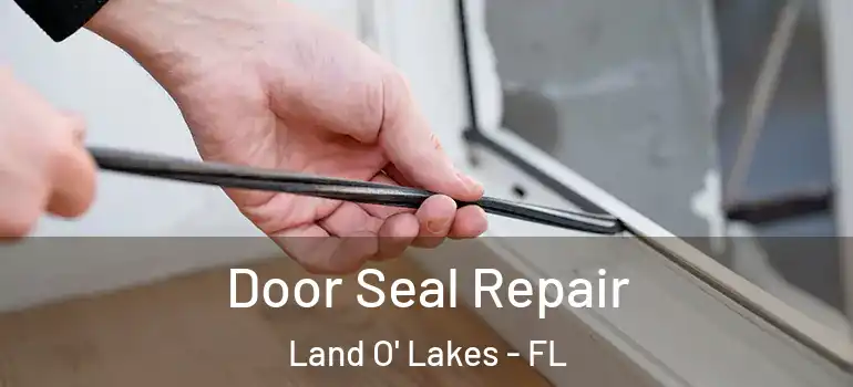 Door Seal Repair Land O' Lakes - FL