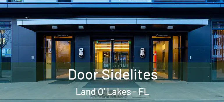 Door Sidelites Land O' Lakes - FL