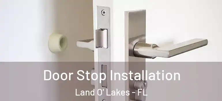 Door Stop Installation Land O' Lakes - FL