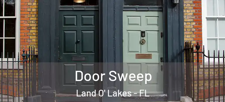 Door Sweep Land O' Lakes - FL