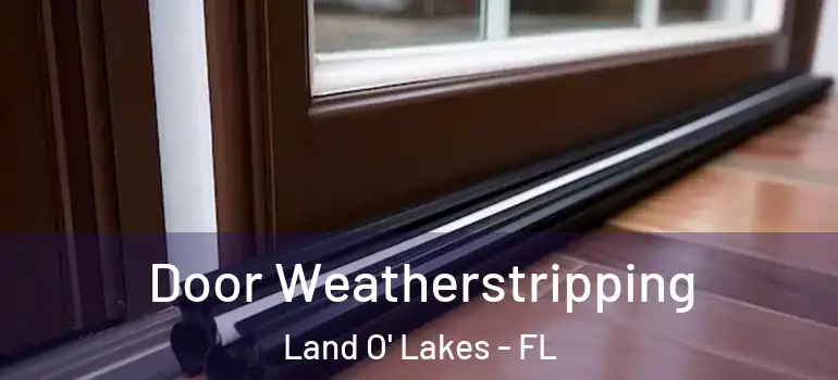 Door Weatherstripping Land O' Lakes - FL
