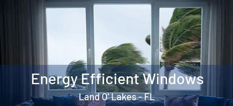 Energy Efficient Windows Land O' Lakes - FL