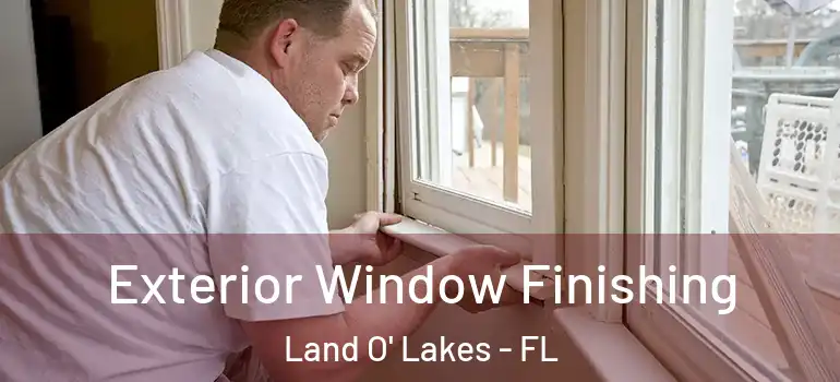 Exterior Window Finishing Land O' Lakes - FL