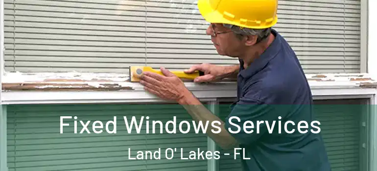 Fixed Windows Services Land O' Lakes - FL