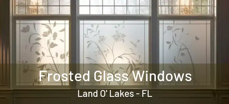 Frosted Glass Windows Land O' Lakes - FL