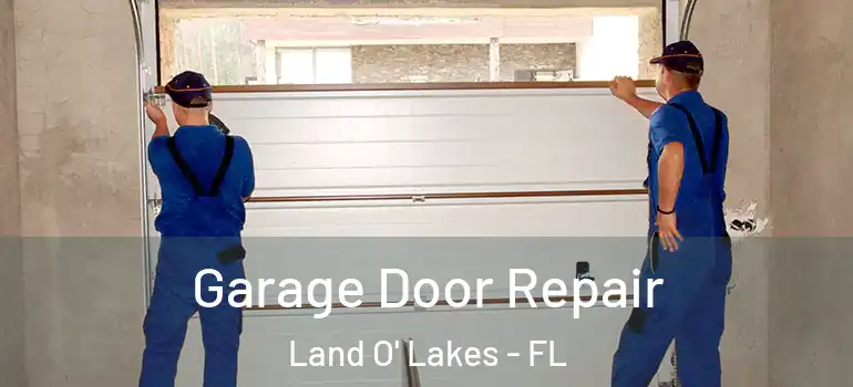 Garage Door Repair Land O' Lakes - FL
