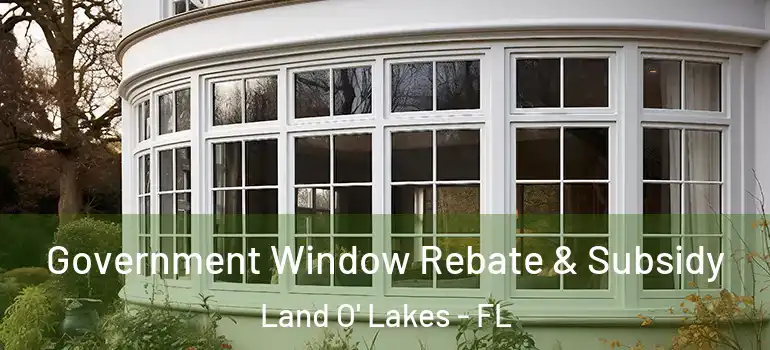 Government Window Rebate & Subsidy Land O' Lakes - FL