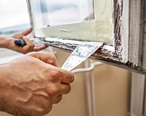 Professional Door and Windows Installation in Land O' Lakes, FL