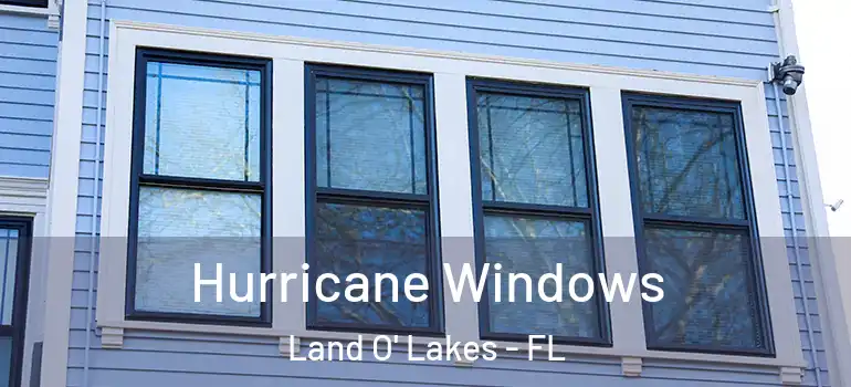 Hurricane Windows Land O' Lakes - FL