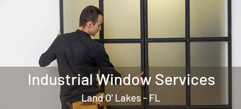 Industrial Window Services Land O' Lakes - FL