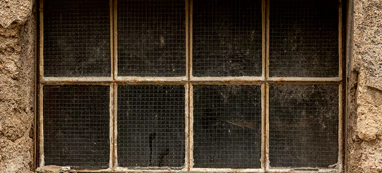 Traditional Double Front Doors in Land O' Lakes, FL