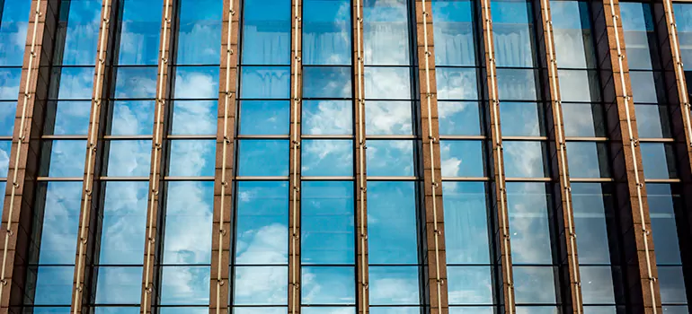 Professional Window Tinting Services in Land O' Lakes, FL