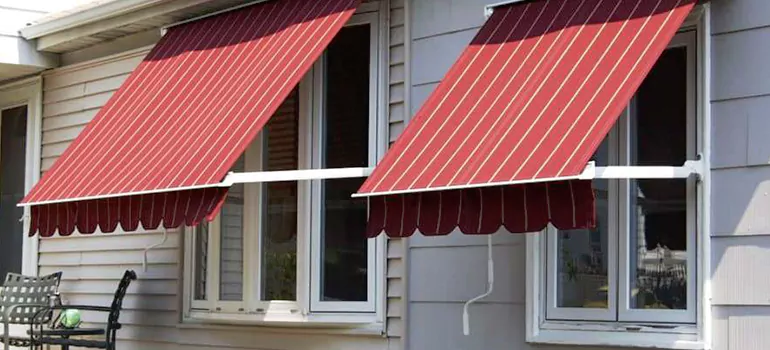 Government Rebate Window Replacement in Land O' Lakes, FL