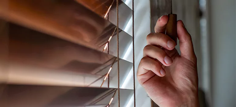 Double Roller Blinds in Land O' Lakes, FL