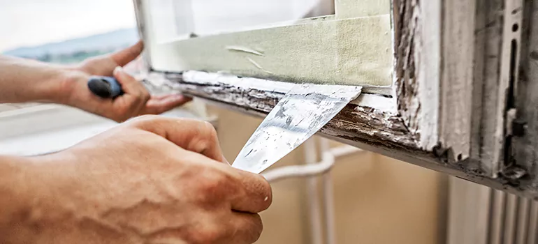 Exterior Window Frame Repair in Land O' Lakes, FL