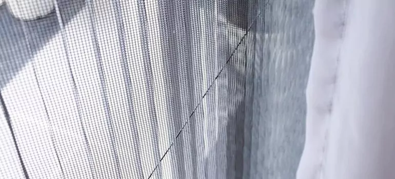Fixing Screen Window Mesh in Land O' Lakes, FL