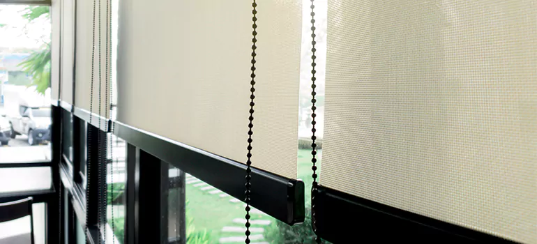 Blackout Window Shades in Land O' Lakes, FL