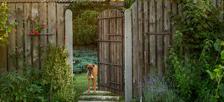 Winter Garden Garage Door Repair in Land O' Lakes,[location field=state]