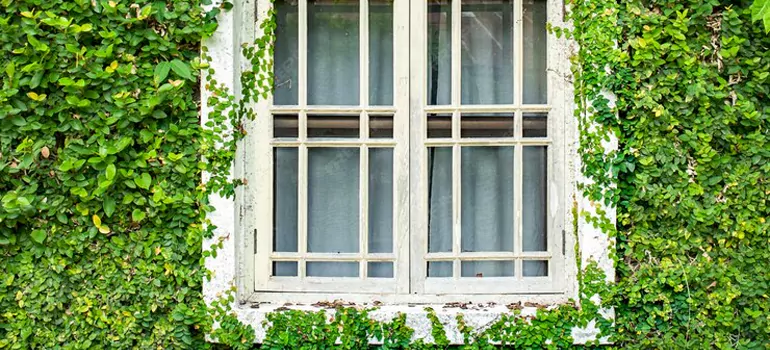 Garden Window Repair Near Me in Land O' Lakes, FL