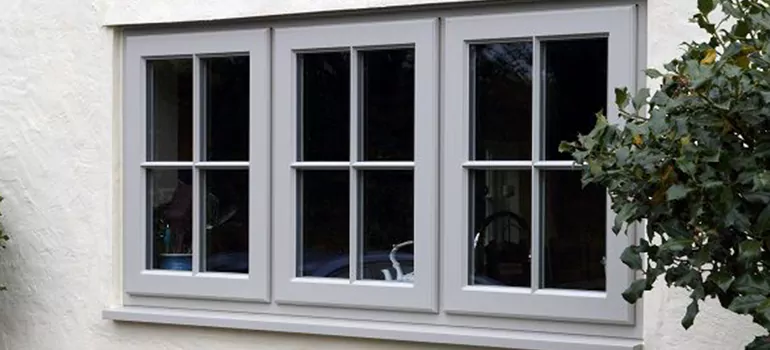 Stormproof Windows With Tinted Glass Services in Land O' Lakes, FL