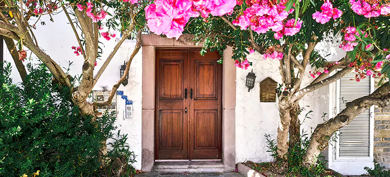 Traditional 4 Panel Internal Doors in Land O' Lakes, FL