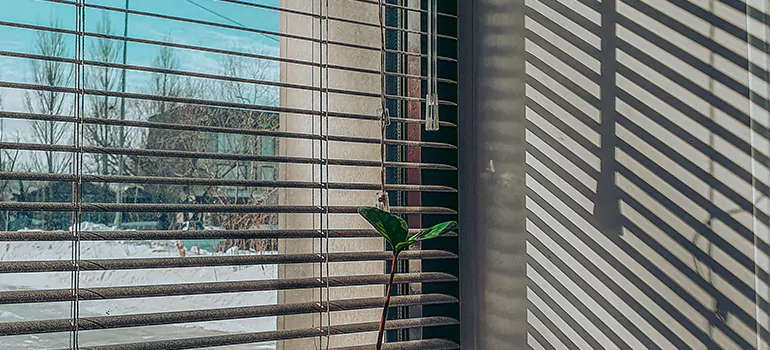 Commercial Window Blinds in Land O' Lakes, FL