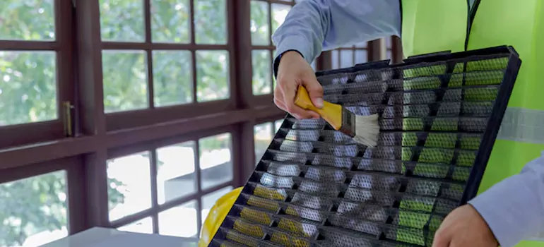 Traditional Window Grille Installation Options in Land O' Lakes, FL