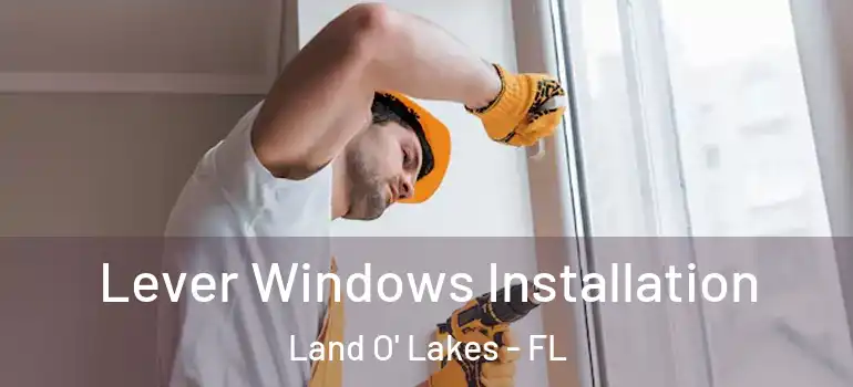 Lever Windows Installation Land O' Lakes - FL