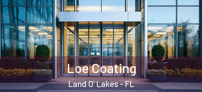 Loe Coating Land O' Lakes - FL
