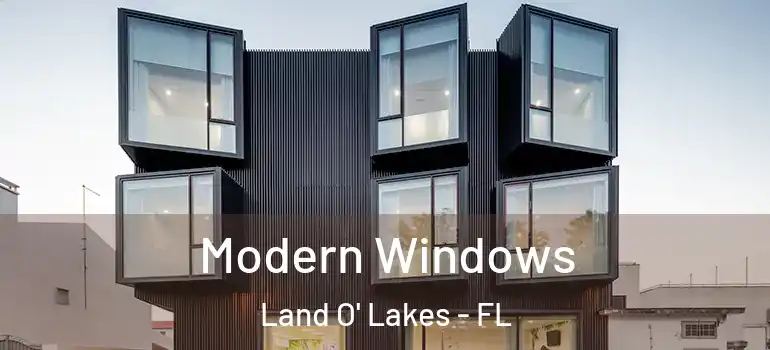 Modern Windows Land O' Lakes - FL
