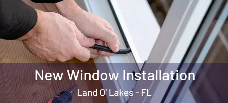 New Window Installation Land O' Lakes - FL