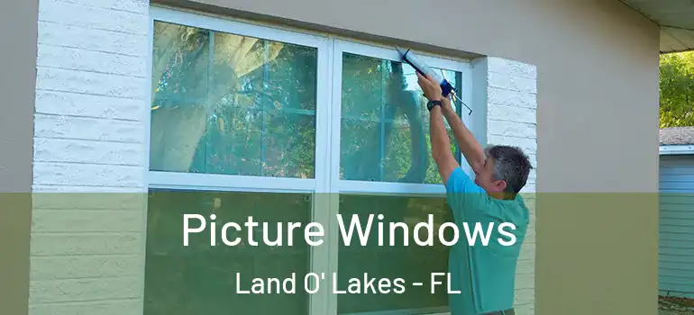 Picture Windows Land O' Lakes - FL