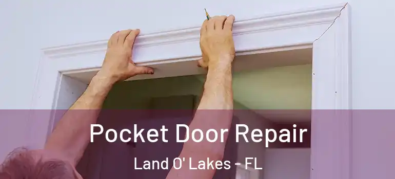  Pocket Door Repair Land O' Lakes - FL