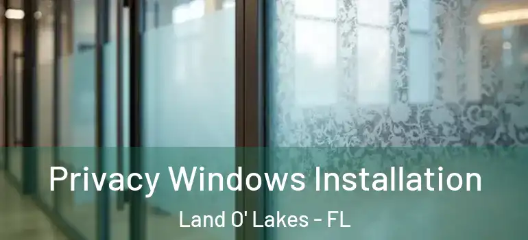 Privacy Windows Installation Land O' Lakes - FL